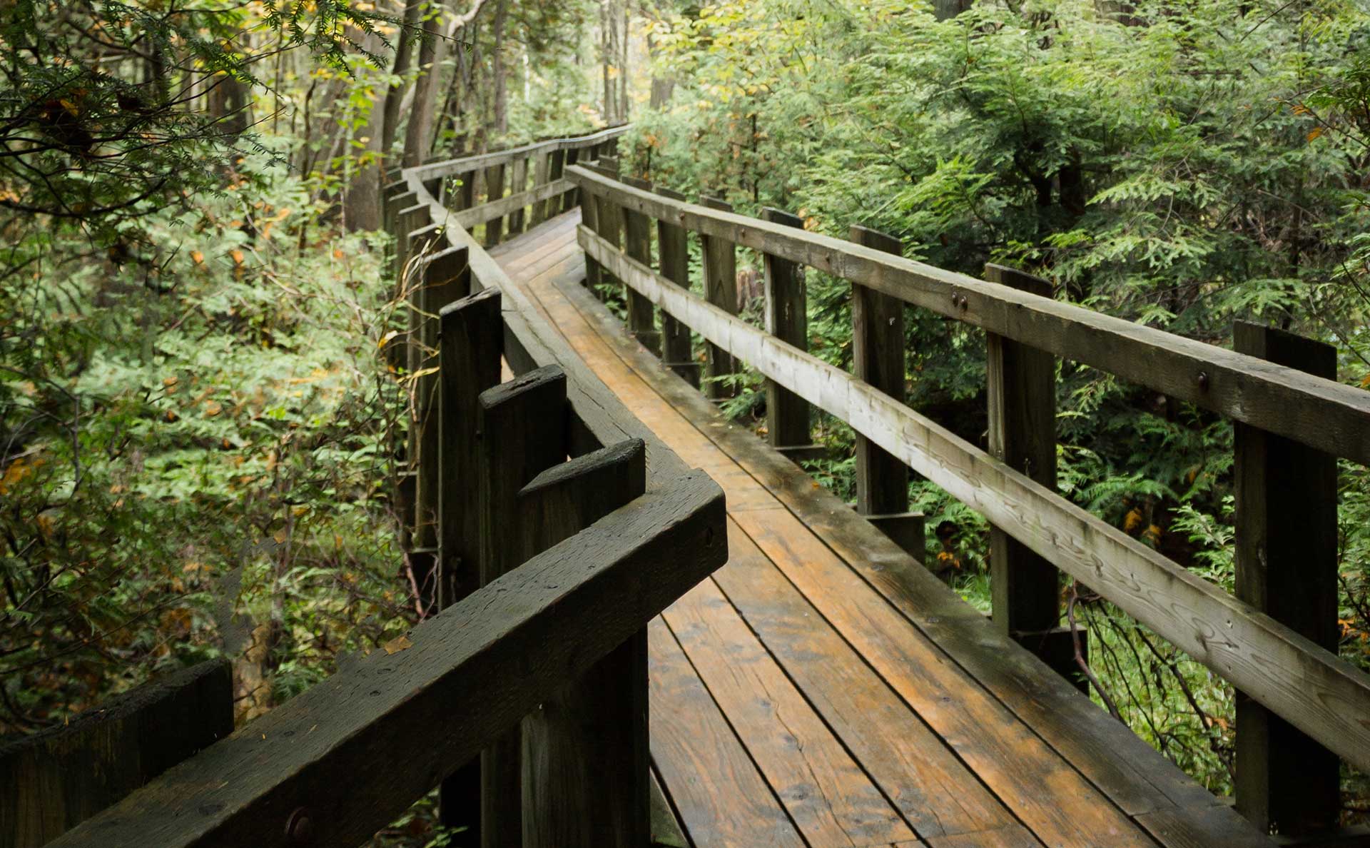 Wooden boardwalk through the woods